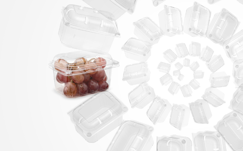Plastic Mould manufacturer for Food Industry